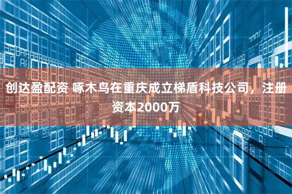 创达盈配资 啄木鸟在重庆成立梯盾科技公司，注册资本2000万