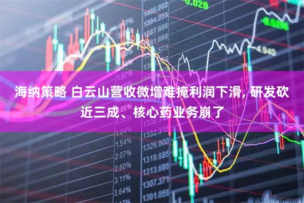海纳策略 白云山营收微增难掩利润下滑, 研发砍近三成、核心药业务崩了